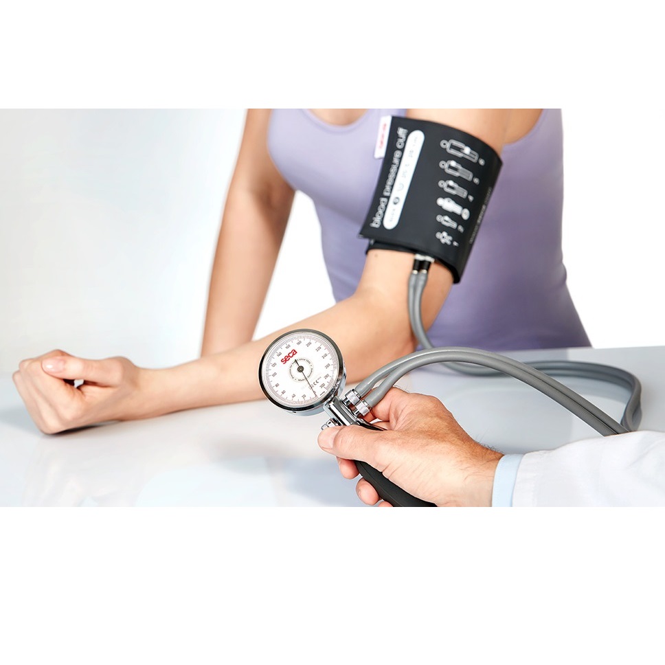 Ciśnieniomierze zegarowe (aneroidowe) SECA b30