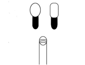 Elektrody do koagulacji do endoskopów giętkich Alton A1815EK