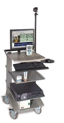 Elektroencefalografy (EEG) Natus xltek