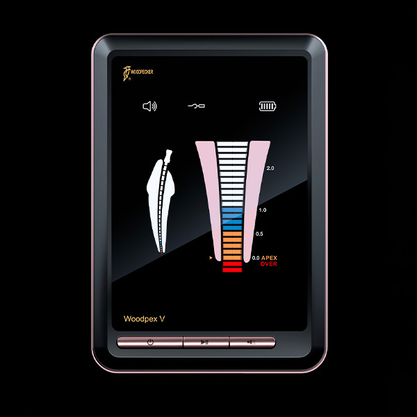 Endometry stomatologiczne Woodpecker Woodpex V