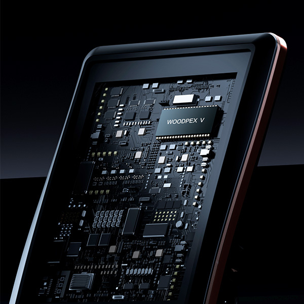 Endometry stomatologiczne Woodpecker Woodpex V