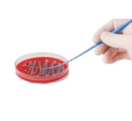 Ezy i igły laboratoryjne FL medical Eza PS