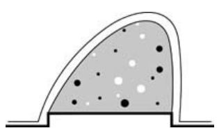 Fantomy do biopsji FLUKE Potrójnej modalności