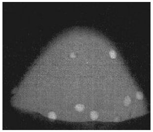 Fantomy do biopsji FLUKE Potrójnej modalności
