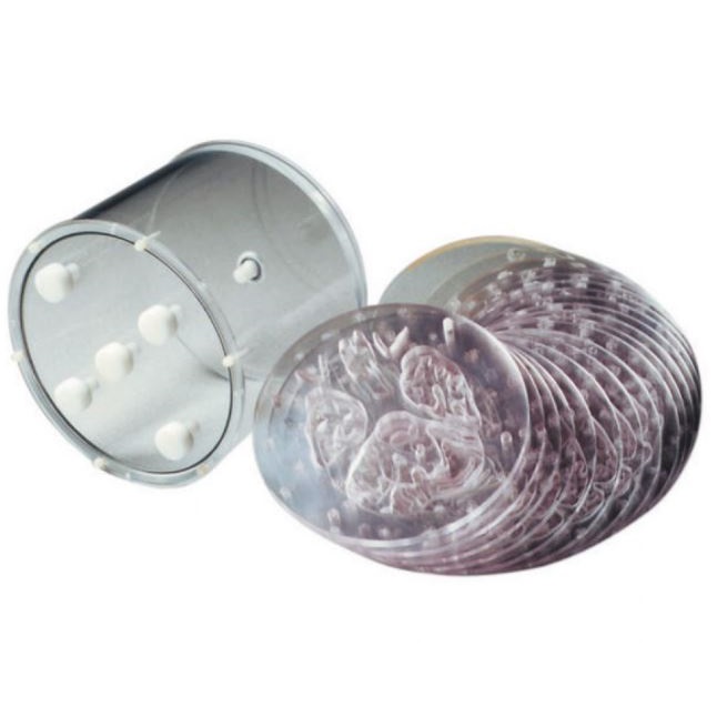 Fantomy do medycyny nuklearnej DSC BR/3D/P Fantom mózgu 3D Hoffmana