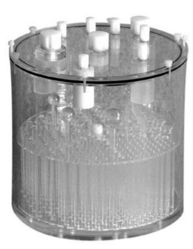 Fantomy do medycyny nuklearnej DSC PET/FL-X2/P Fantom Jaszczaka SPECT-PET bez kołnierza