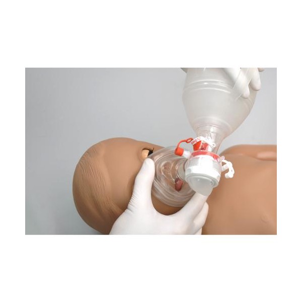 Fantomy szkoleniowe 3B Scientific 1018863