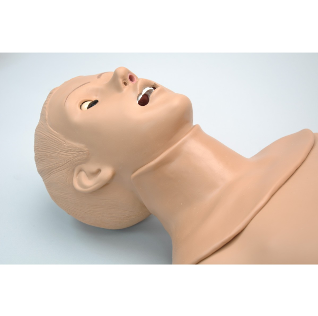 Fantomy szkoleniowe 3B Scientific 1019856