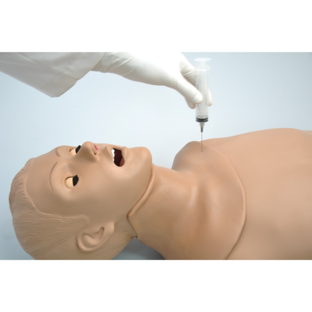 Fantomy szkoleniowe 3B Scientific 1019856