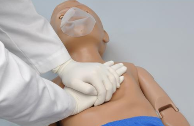 Fantomy szkoleniowe 3B Scientific 1020144