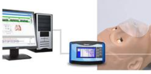 Fantomy szkoleniowe 3B Scientific 1020144