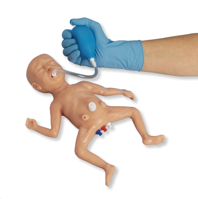 Fantomy szkoleniowe 3B Scientific 1020812