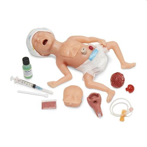 Fantomy szkoleniowe 3B Scientific 1020812