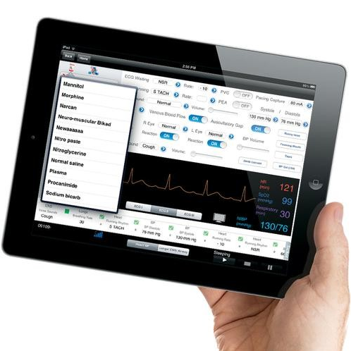 Fantomy szkoleniowe 3B Scientific W44173