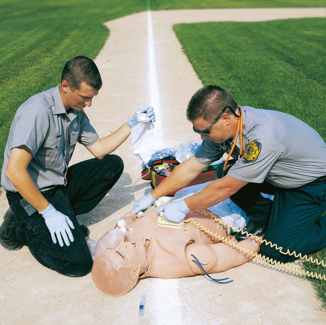 Fantomy szkoleniowe 3B Scientific W44173