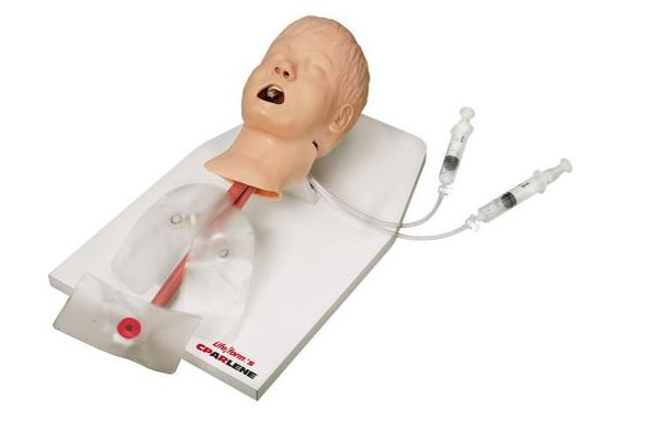 Fantomy szkoleniowe 3B Scientific W44442