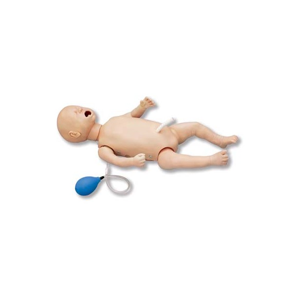 Fantomy szkoleniowe 3B Scientific W44717