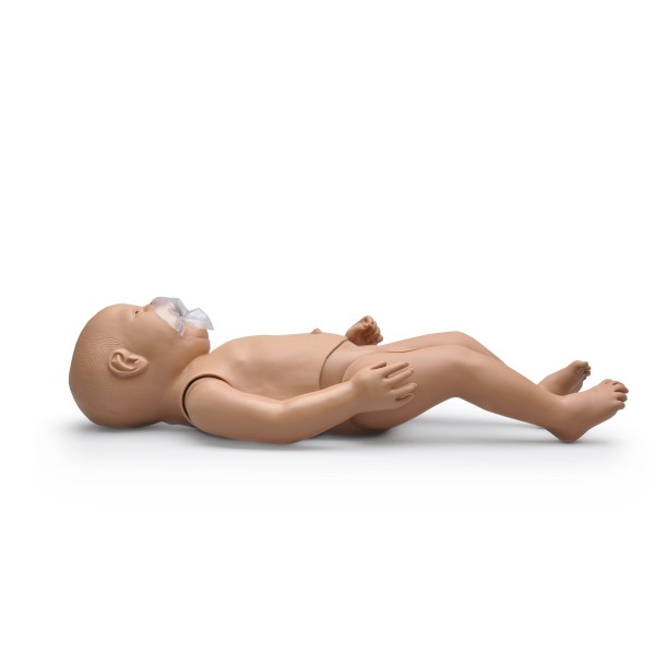 Fantomy szkoleniowe 3B Scientific W45134