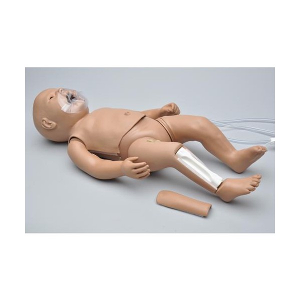 Fantomy szkoleniowe 3B Scientific W45137