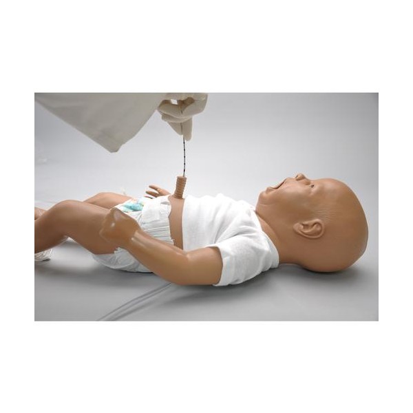 Fantomy szkoleniowe 3B Scientific W45202