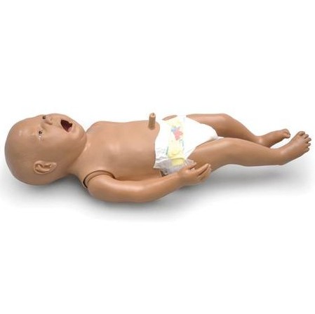 Fantomy szkoleniowe 3B Scientific W45202