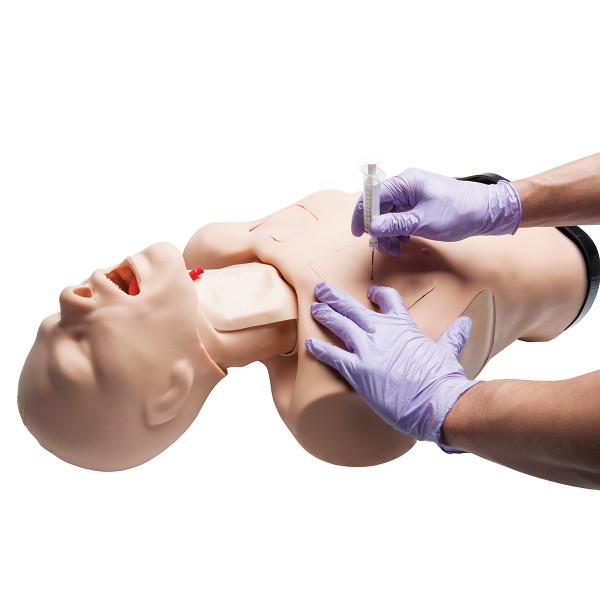 Fantomy szkoleniowe 3B Scientific W45207