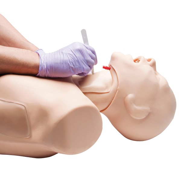 Fantomy szkoleniowe 3B Scientific W45207