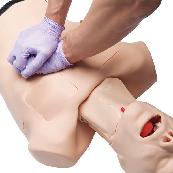 Fantomy szkoleniowe 3B Scientific W45207