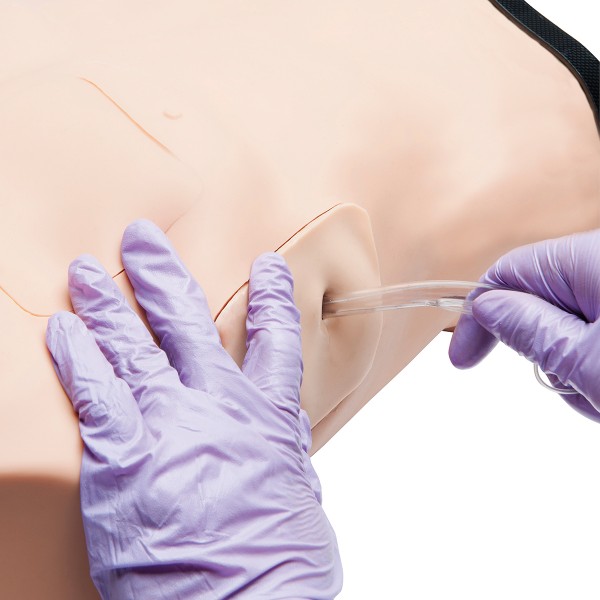 Fantomy szkoleniowe 3B Scientific W45207