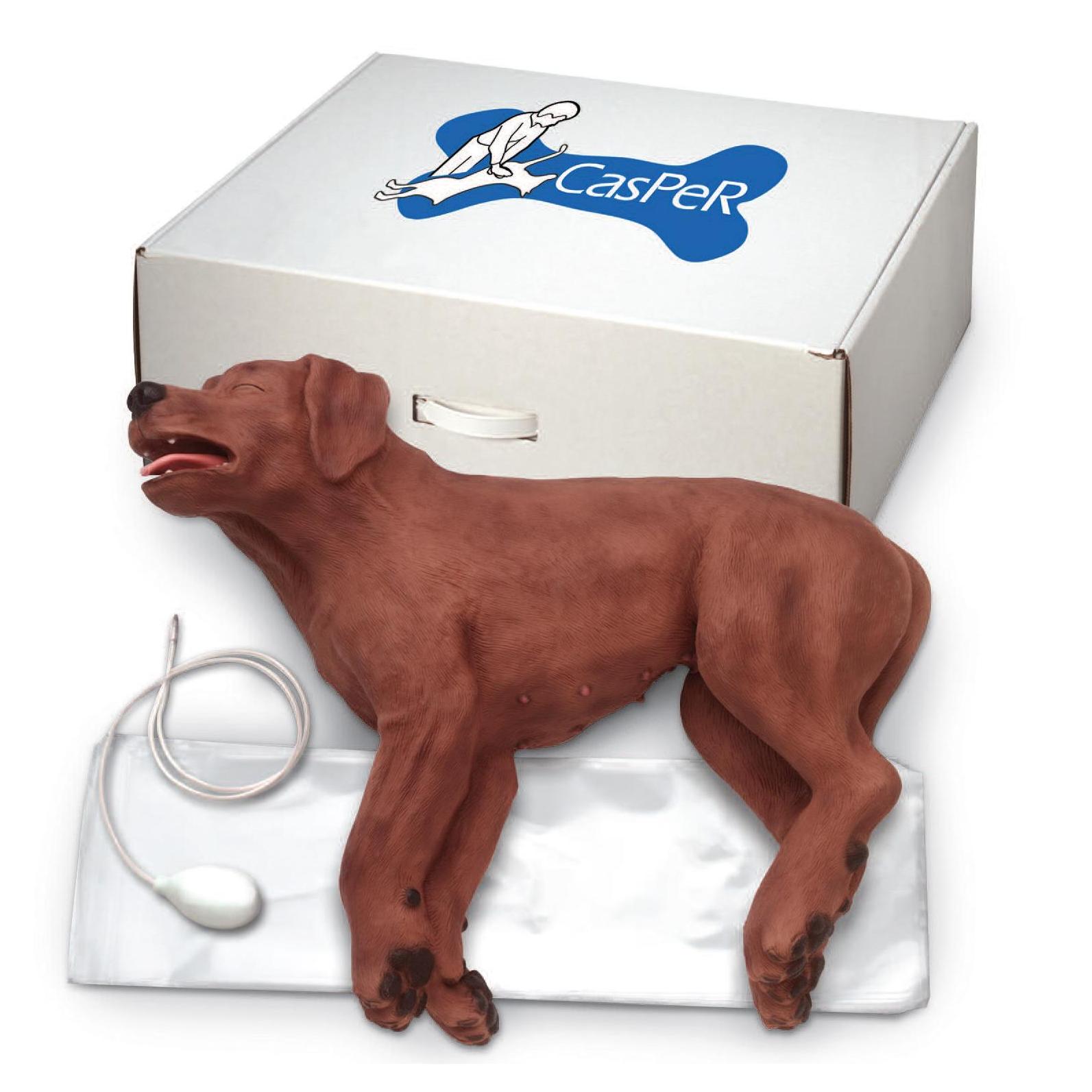 Fantomy szkoleniowe ERLER ZIMMER CASPER CPR - Fantom psa