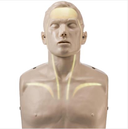 Fantomy szkoleniowe Innosonian Brayden PRO