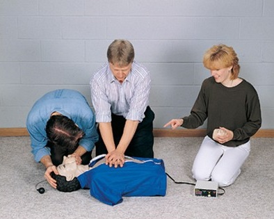 Fantomy szkoleniowe Nasco CPARLENE CPR tors