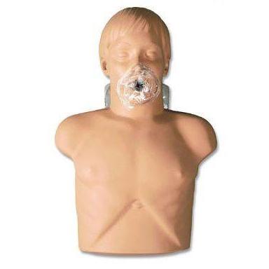 Fantomy szkoleniowe Nasco Sani CPR