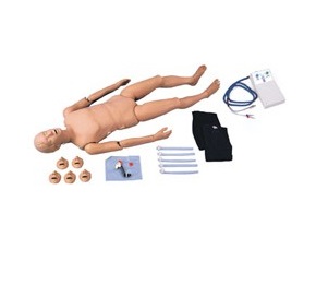 Fantomy szkoleniowe Nasco SB32367U