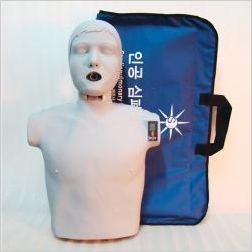 Fantomy szkoleniowe RADIAN manekin