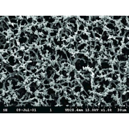 Filtry membranowe GE Healthcare Klasa AE czysty azotan celulozy