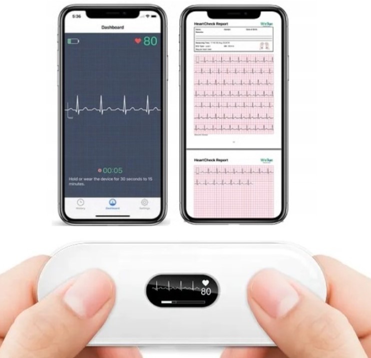 Holtery EKG – rejestratory B/D ER2-S
