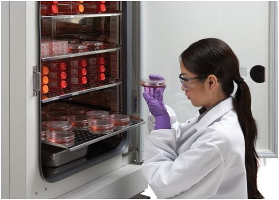 Inkubatory CO2 NuAire Laboratory Equipment Supply NU-5841E, NU-5741E In-vitroCell