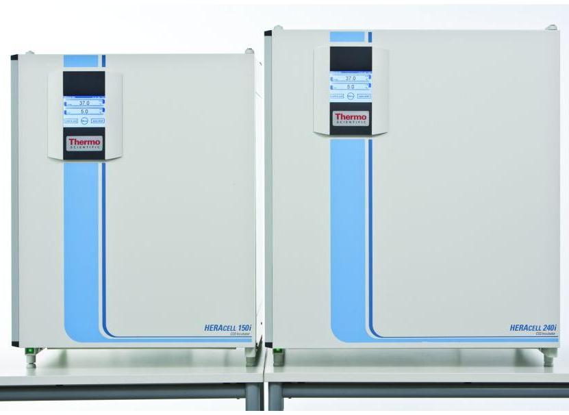 Inkubatory CO2 THERMO SCIENTIFIC HERAcell