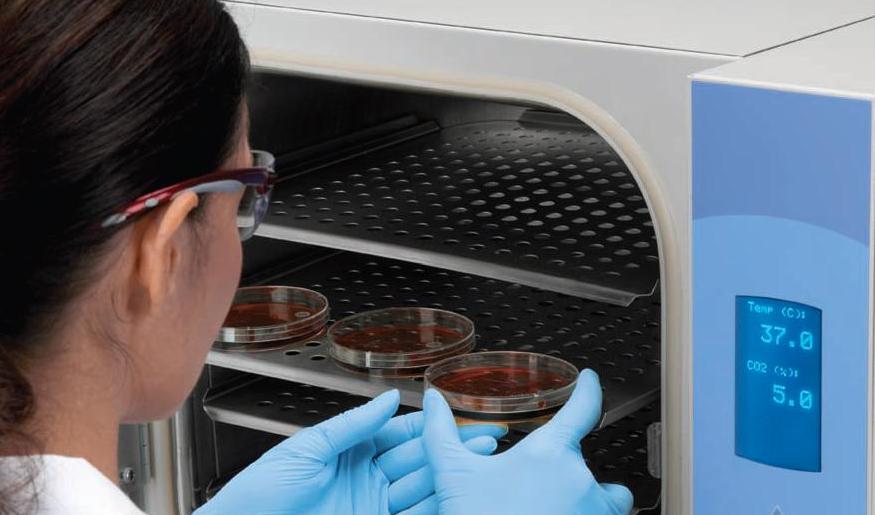 Inkubatory CO2 THERMO SCIENTIFIC Midi 40