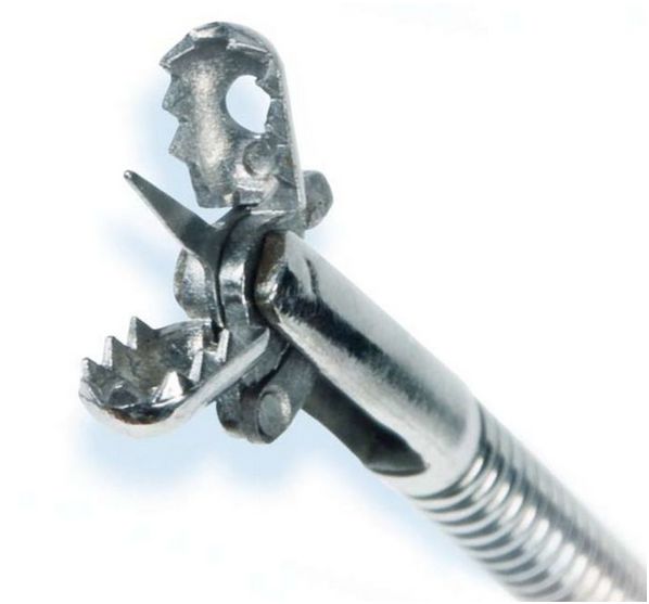 Kleszcze biopsyjne do endoskopów giętkich MICRO-TECH Kleszcze biopsyjne Macro MICRO-TECH