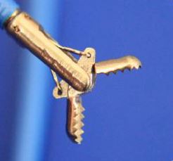 Kleszcze biopsyjne do endoskopów giętkich Zhuji Pengtian Medical Jednorazowe kleszcze biopsyjne