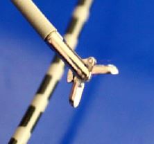 Kleszcze biopsyjne do endoskopów giętkich Zhuji Pengtian Medical Jednorazowe kleszcze biopsyjne