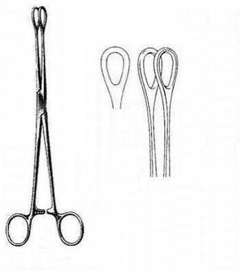 Kleszcze chirurgiczne i zabiegowe GAMA s. c. - dystrybutor importer Kleszczyki Foerster gładkie proste