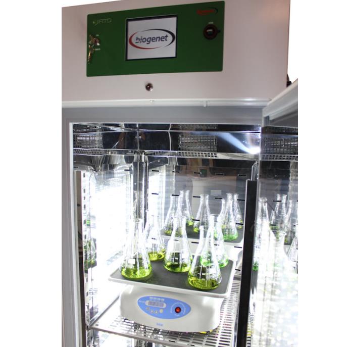 Komory fitotronowe BIOGENET FITO ALGAE