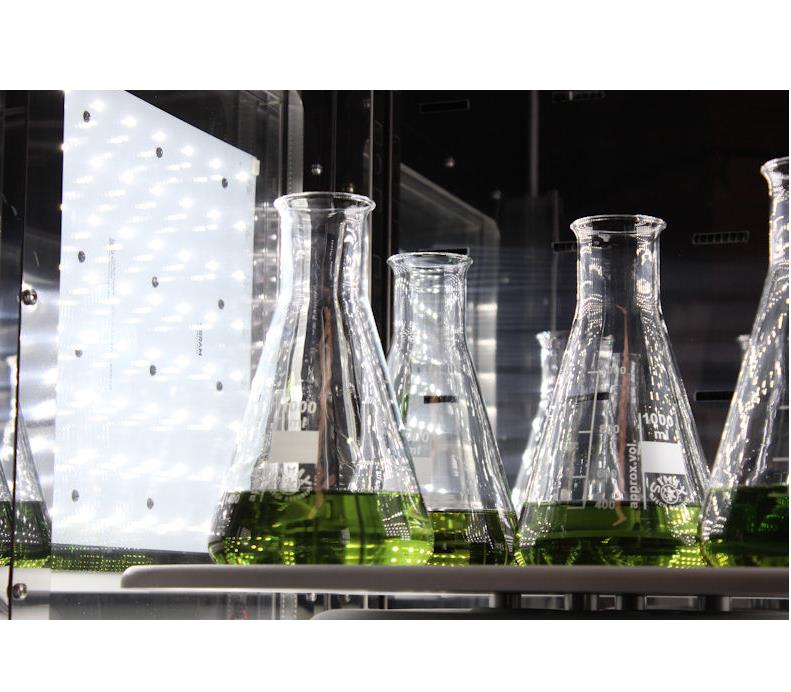 Komory fitotronowe BIOGENET FITO ALGAE