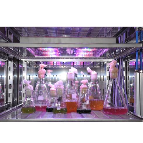 Komory fitotronowe BIOGENET FITO DUO