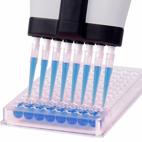 Końcówki do pipet PZ HTL S.A. Do Pipet Automatycznych HTL