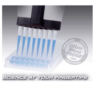 Końcówki do pipet PZ HTL S.A. końcówki