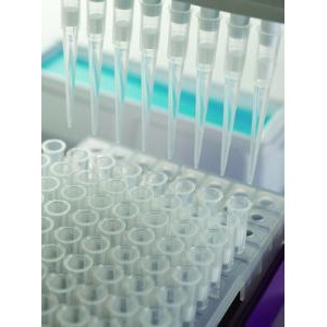 Końcówki do pipet VWR extra long, filtracyjne